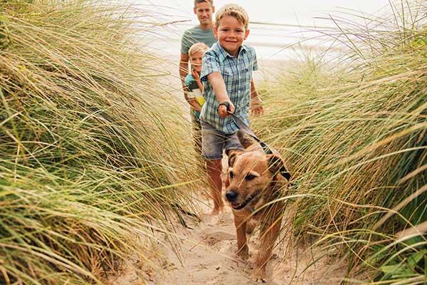 Urlaub mit Hund in Großenbrode